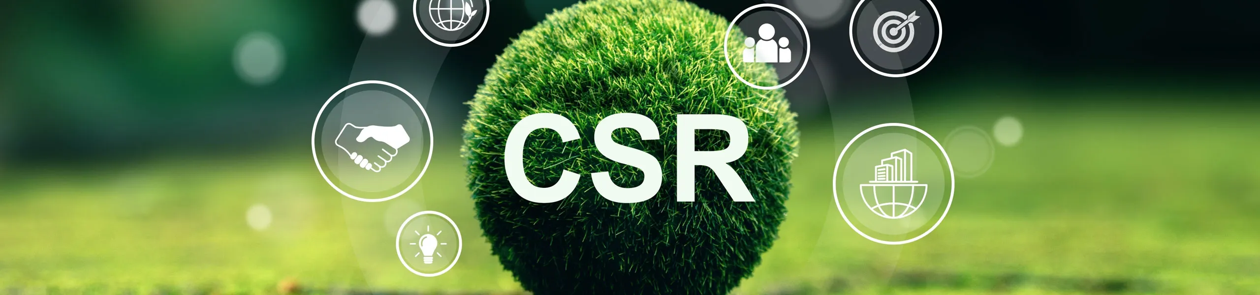 CSR Activities Lifting Inspections